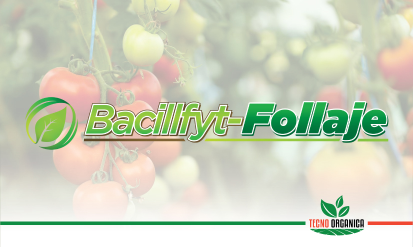 Bacillfyt-Follaje