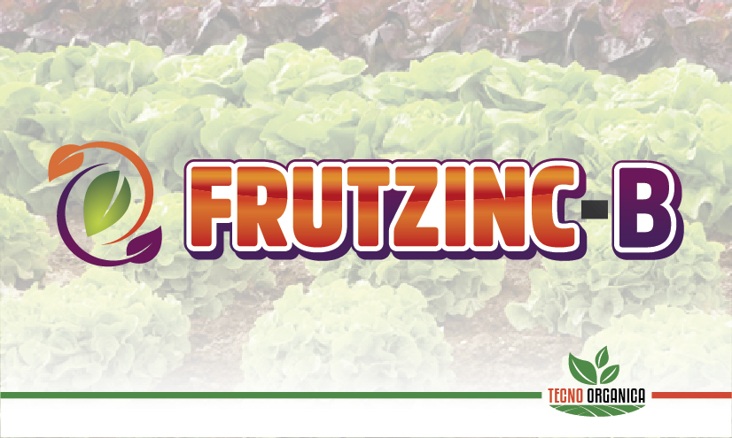 Frutzinc-B