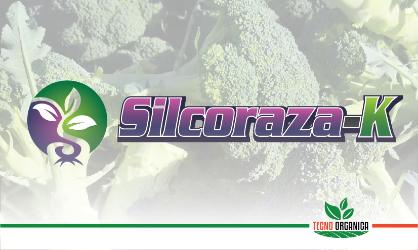 Silcoraza-K