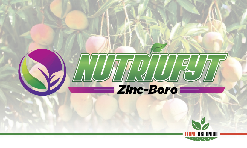 Zinc-Boro