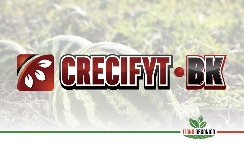 Crecifyt-BK