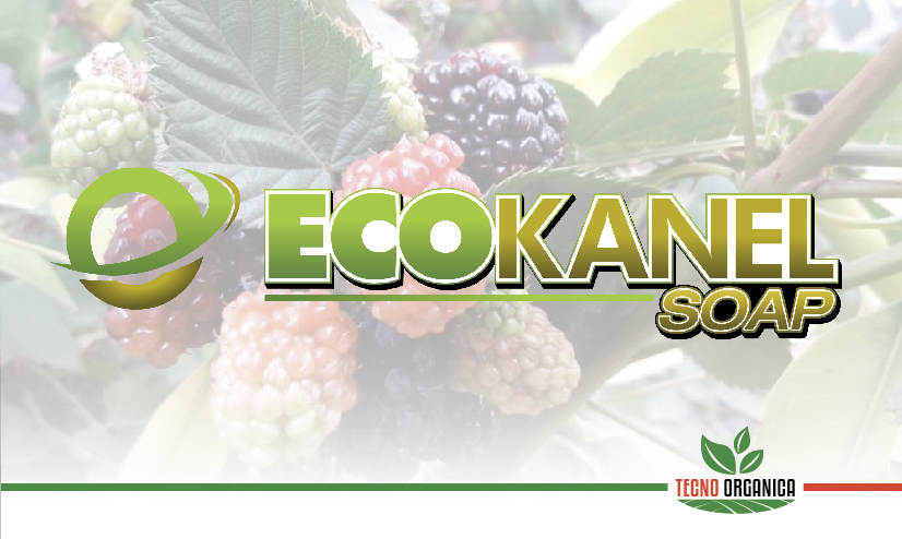 Ecokanel-Soap