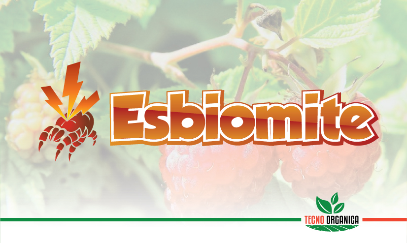 Esbiomite
