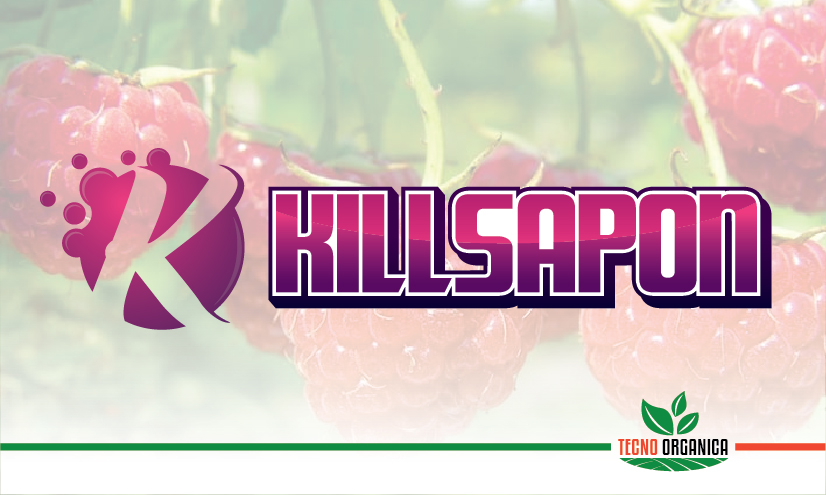 Killsapon
