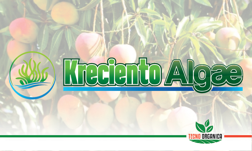 Kreciento-algae