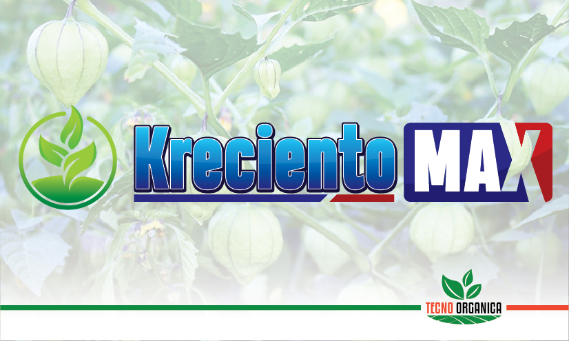 Kreciento-max