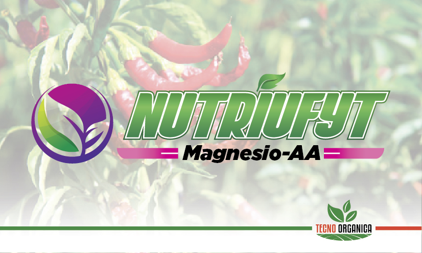 Magnesio-AA