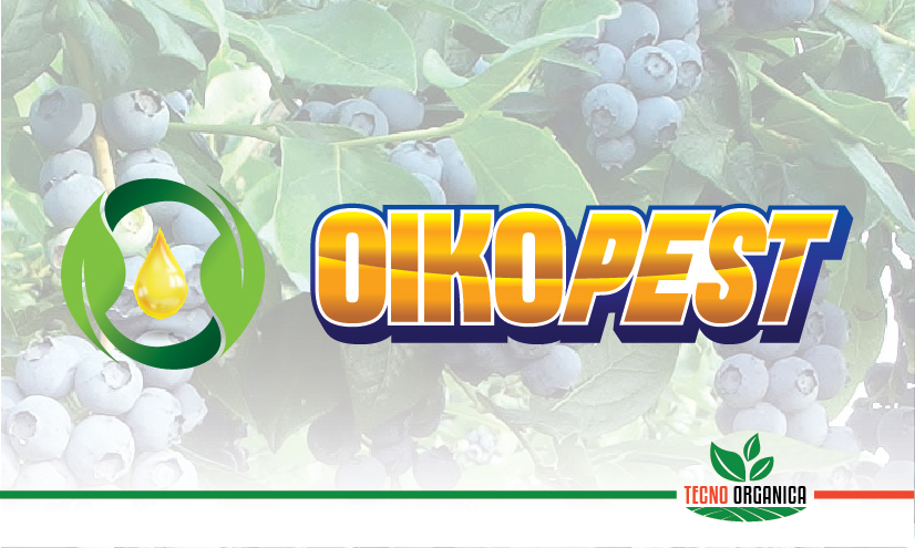 Oikopest