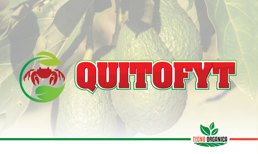 Quitofyt